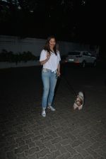 Sophie Choudry spotted at palli hill bandra on 11th Nov 2018 (4)_5bea70706bfd4.JPG