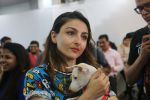 Soha Ali Khan At Adapathon 2018 In Bandra on 2nd Dec 2018 (23)_5c076e65765bd.jpg