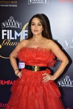 Preity Zinta at Flimfare Glamour And Style Awards on 13th Feb 2019 (35)_5c6524f240598.jpg