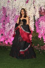 Diana Penty at Akash Ambani & Shloka Mehta wedding in Jio World Centre bkc on 10th March 2019 (246)_5c8769af93739.jpg