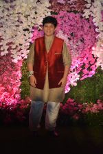 Falguni Pathak  at Akash Ambani & Shloka Mehta wedding in Jio World Centre bkc on 10th March 2019 (101)_5c8769e02fec1.jpg