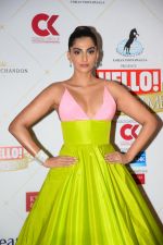Sonam Kapoor at the Hello Hall of Fame Awards in St Regis hotel on 18th March 2019 (45)_5c9098df4f2a4.jpg