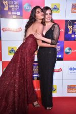 Dia Mirza at Zee cine awards red carpet on 19th March 2019 (270)_5c91e84533f88.jpg