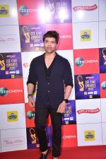 Himesh Reshammiya at Zee cine awards red carpet on 19th March 2019 (88)_5c91e8c256aef.jpg