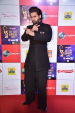 Jackky Bhagnani at Zee cine awards red carpet on 19th March 2019 (29)_5c91e8e40619e.jpg