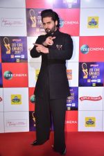 Jackky Bhagnani at Zee cine awards red carpet on 19th March 2019 (30)_5c91e8e58b692.jpg