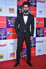 Vicky Kaushal at Zee cine awards red carpet on 19th March 2019 (37)_5c91e3f582efd.jpg