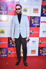 at Zee cine awards red carpet on 19th March 2019 (145)_5c91e82ee7ee2.jpg