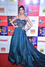 at Zee cine awards red carpet on 19th March 2019 (15)_5c91e7f067777.jpg