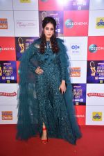 at Zee cine awards red carpet on 19th March 2019 (246)_5c91e8393bd21.jpg