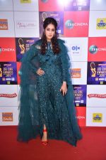 at Zee cine awards red carpet on 19th March 2019 (248)_5c91e83c9bbdf.jpg