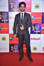 at Zee cine awards red carpet on 19th March 2019 (49)_5c91e7f38bed9.jpg