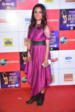 at Zee cine awards red carpet on 19th March 2019 (75)_5c91e80463dd7.jpg