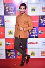 at Zee cine awards red carpet on 19th March 2019 (79)_5c91e80b32457.jpg
