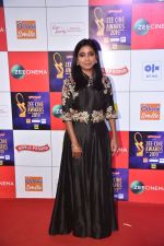 at Zee cine awards red carpet on 19th March 2019 (80)_5c91e80c91690.jpg