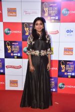 at Zee cine awards red carpet on 19th March 2019 (81)_5c91e80e0e90a.jpg