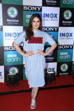 Zareen Khan at the Screening of Sony BBC_s series Dynasties in worli  on 12th June 2019 (50)_5d0259d394aa1.jpg