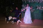 Sonnalli Seygall with her pets at Sonnalli Seygall and Ashesh L Sajnani Wedding Reception (2)_6482f4b87c6ab.jpg