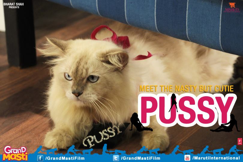 Cat as Pussy in Grand Masti