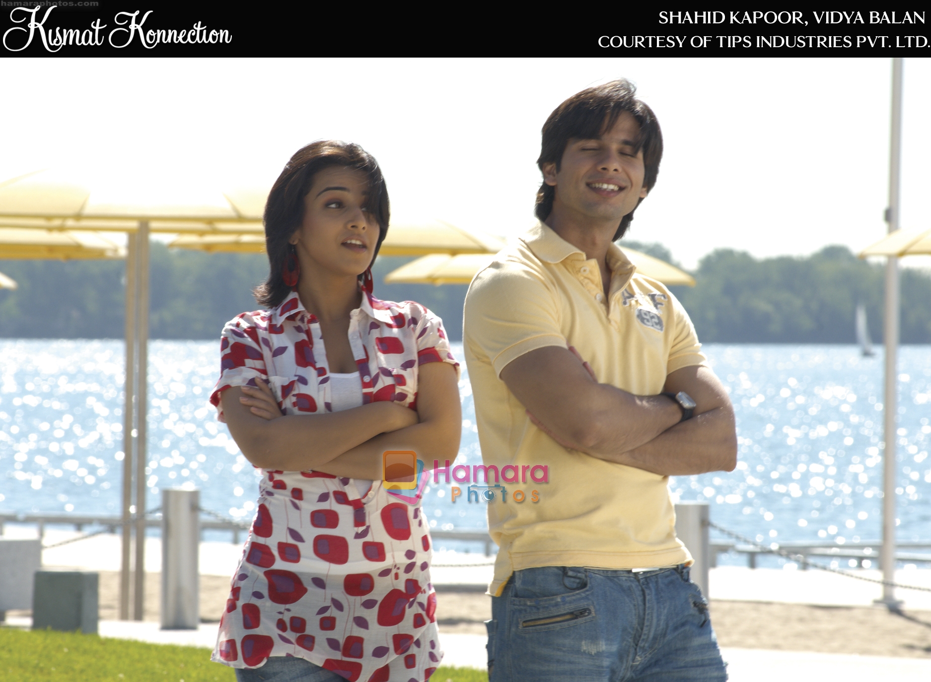 Shahid Kapoor, Vidya Balan in a High Quality Still from Kismat Konnection Movie 