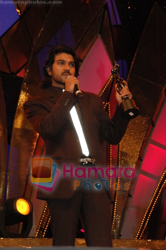 at Tiger Balm South Filmfare Awards on August 5th 2008 