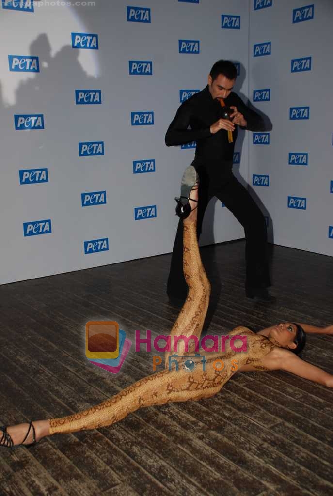 Jesse Randhawa and Sandip Soparkar at Sandip Soparkar's campaign launched by PETA against snake charming in  D Ultimate Club on August 5th 2008 