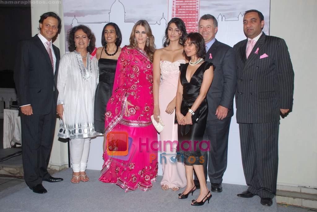 Sonam Kapoor, Elizabeth Hurley, Arun Nayar at an event to create Breast Cancer awareness in Taj Hotel on 23rd October 2008 