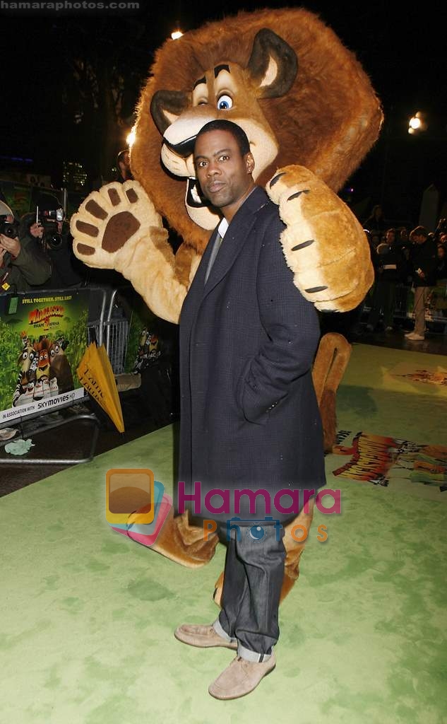 Chris Rock at Madagascar 2 premiere in London on 24th November 2008 - Copy