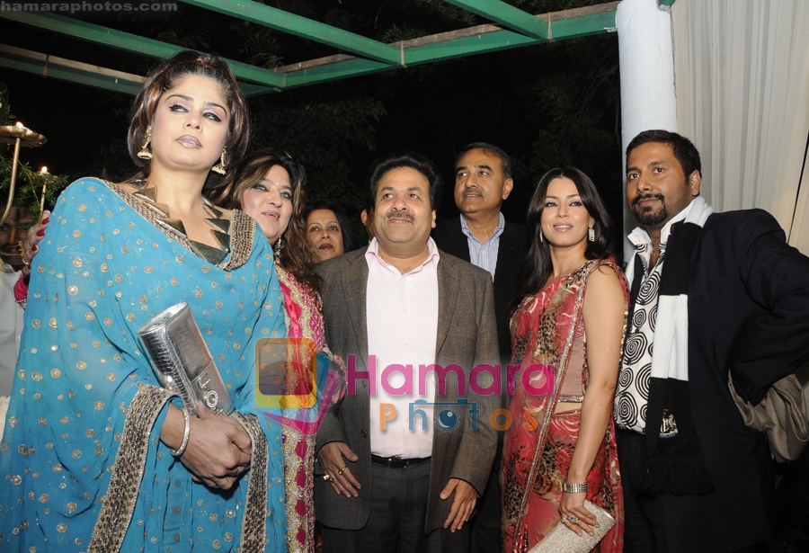 Amita Nangia, Dolly Bindra, Rajeev Shukla, Meghna Naidu, Praful Patel at the Wedding reception of Abhishek Agrawal and Sugandh Goel at the Airport Authority club on 24th Dec 2008 