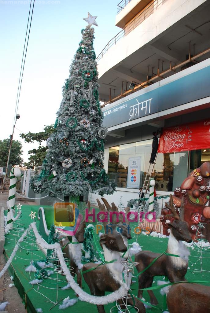 at biggest Christmas tree in Croma, Juhu on 25th December 2008 