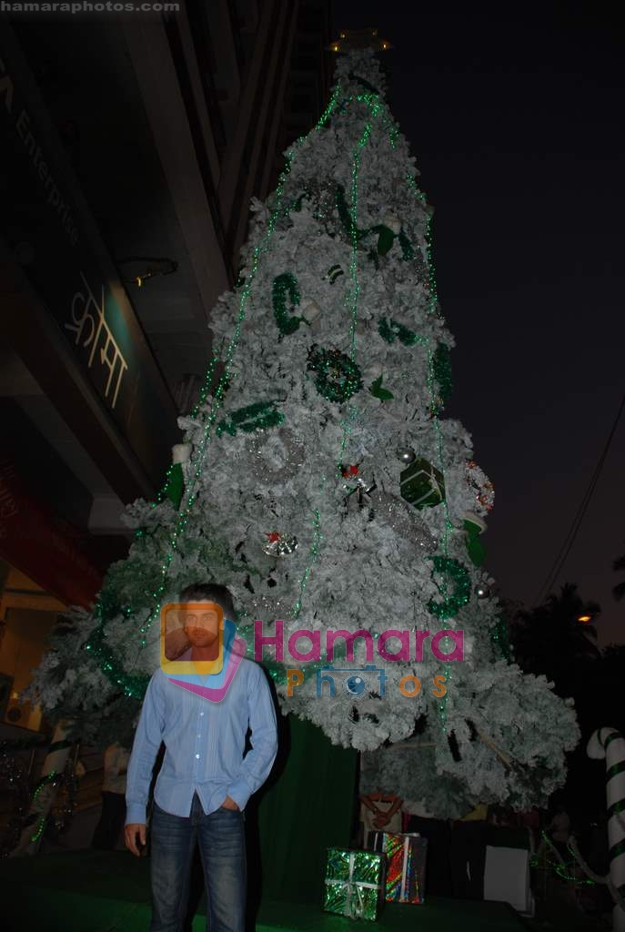 Arjan Bajwa at biggest Christmas tree in Croma, Juhu on 25th December 2008 