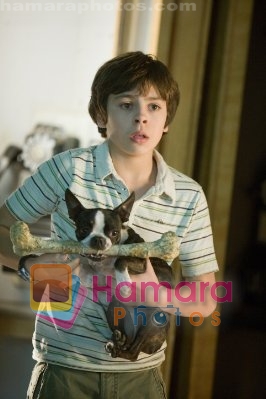 Jake T. Austin in a still from movie Hotel for Dogs 