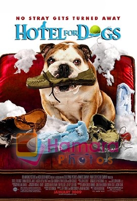 Still from movie Hotel for Dogs 