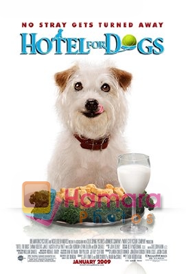 Still from movie Hotel for Dogs 
