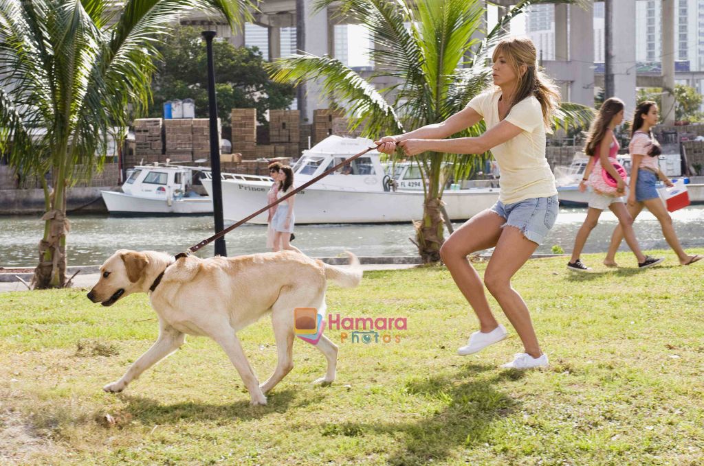 Jennifer Aniston in the still from movie Marley and Me 