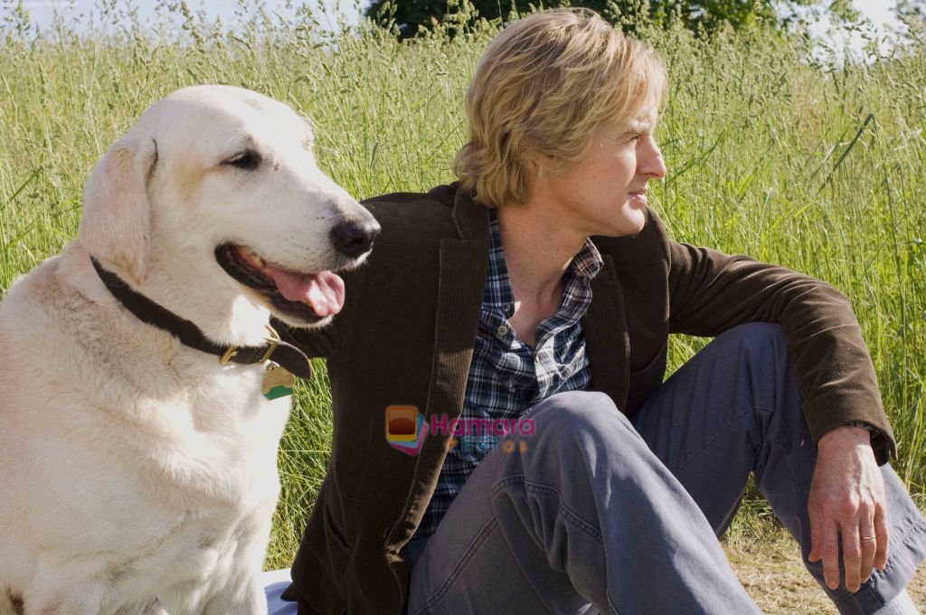 Owen Wilson in the still from movie Marley and Me