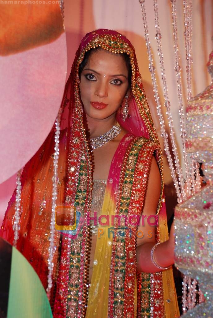 Neetu Chandra at Neetu Lulla's Indian Wedding Carnival in Mayfair Rooms on 2nd April 2009 