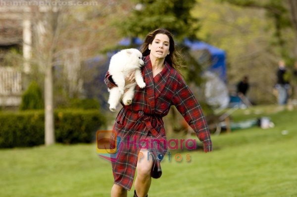 Sandra Bullock in still from the movie The Proposal 