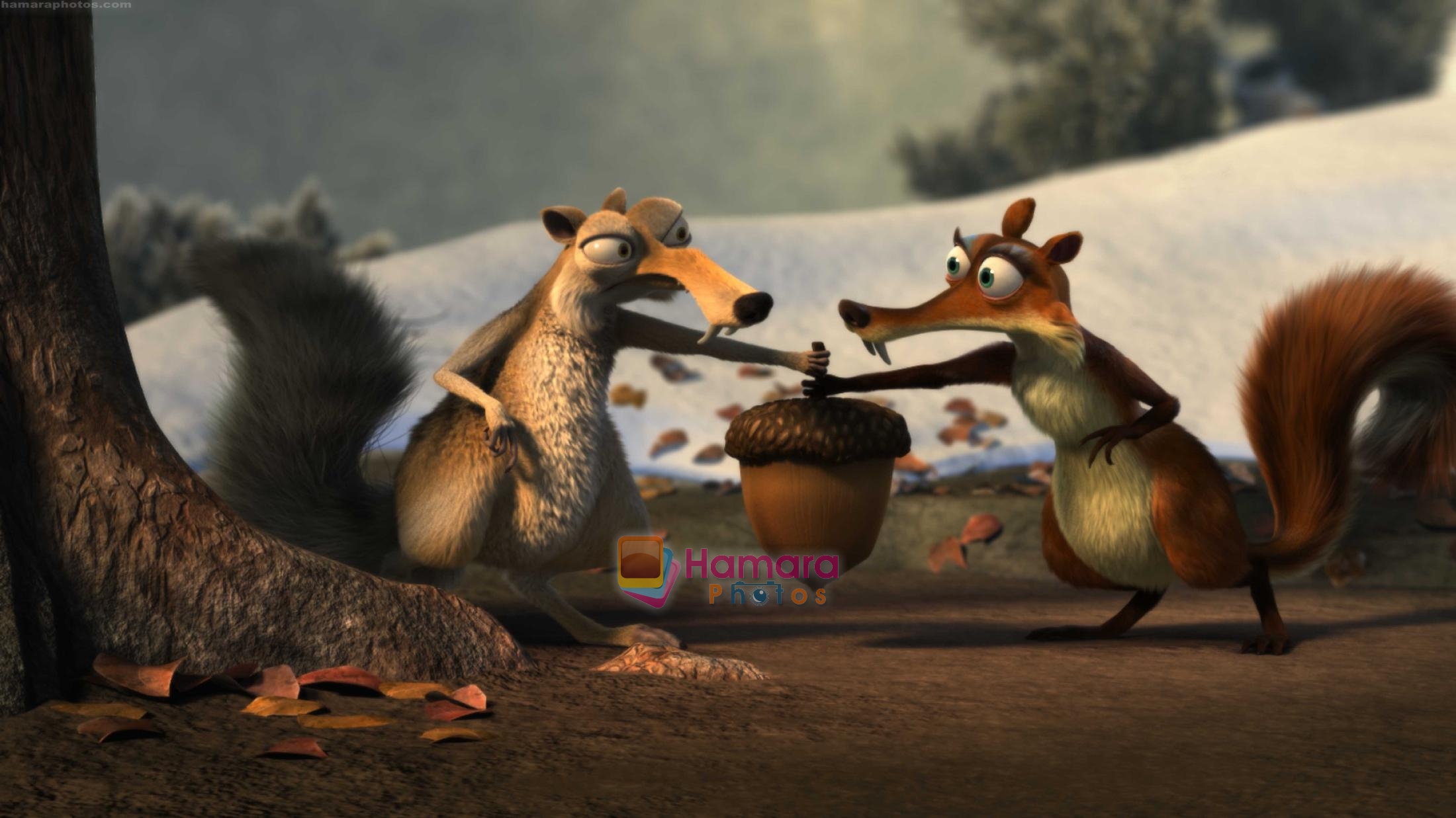 Scrat & Scratte fighting for the Acorn in the still from movie Ice Age 3
