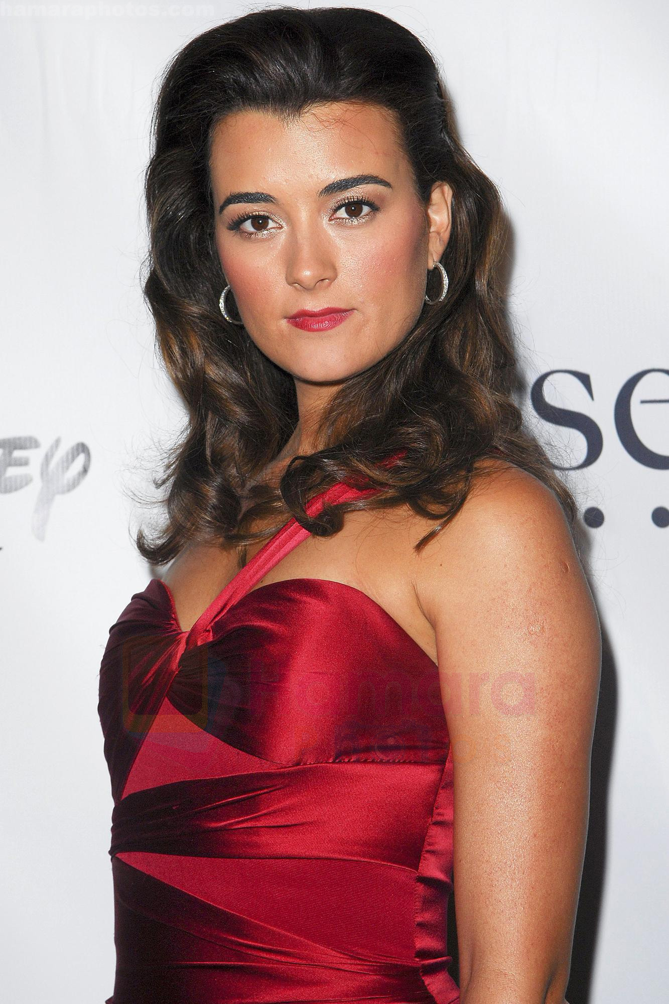 Cote de Pablo at the 24th Annual Imagen Awards held at the Beverly Hilton Hotel Los Angeles, California on 21.08.09 - IANS-WENN 