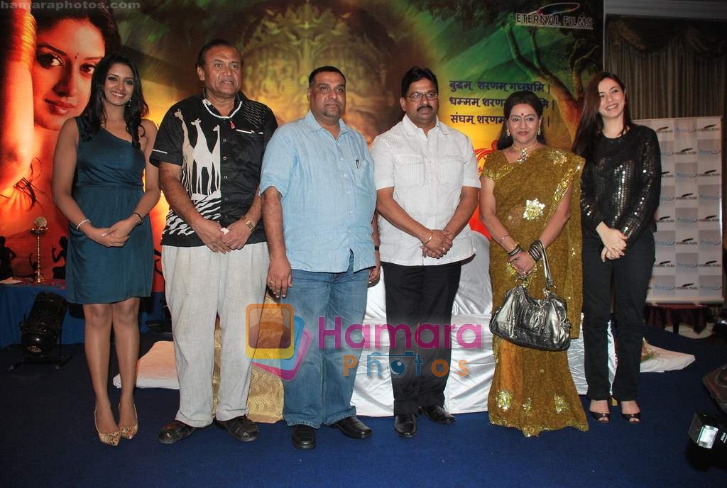 Nargis Bagheri at Amrapali film launch in Hotel Sea Princess on 16th April 2010  - Copy