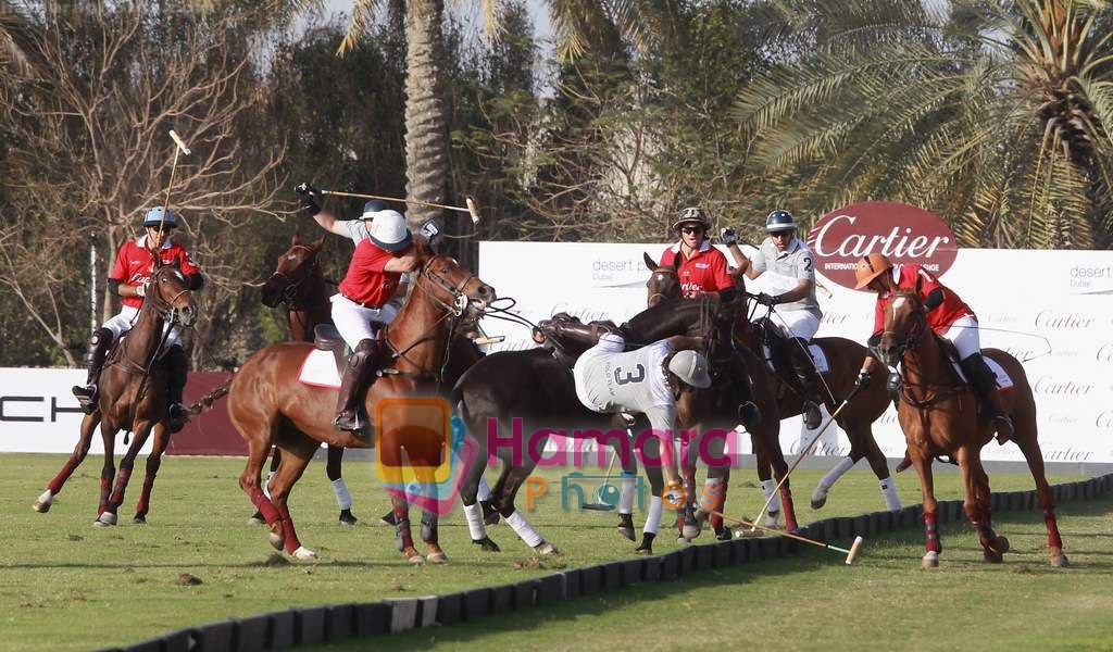 at Cartier Dubai Polo cup in Dubai, United Arab Emirates, 14 February 2011 