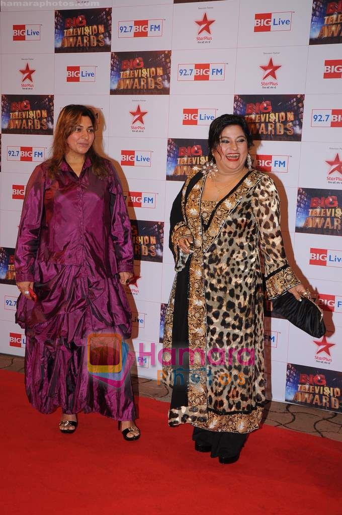 Dolly Bindra at Big Television Awards in Yashraj Studios on 14th June 2011 