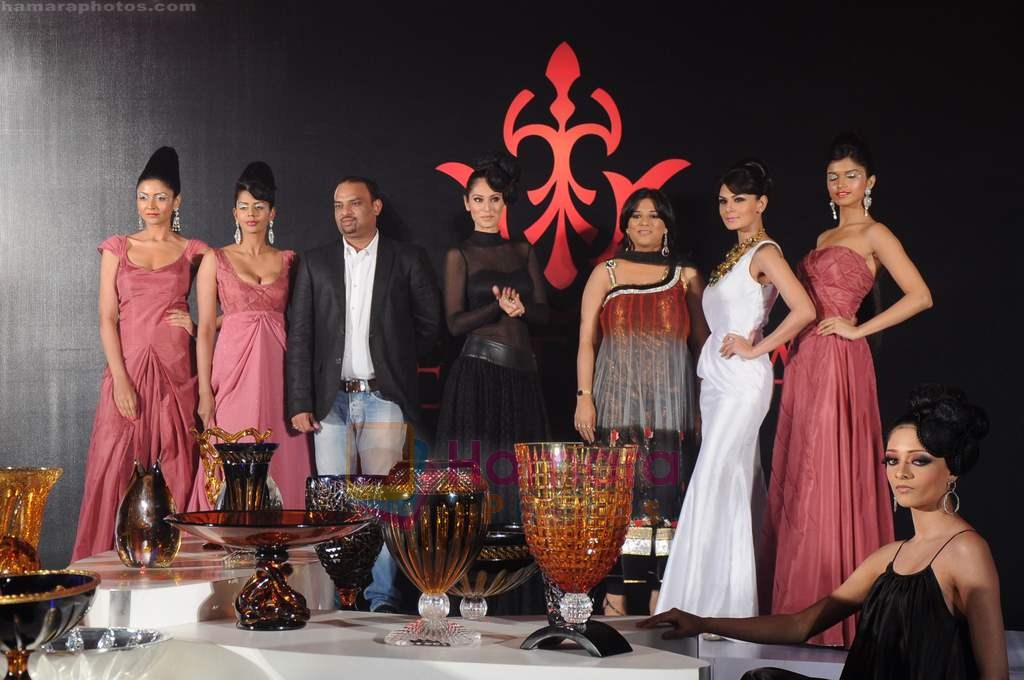 Bruna Abdulah, Bhairavi Goswami, Aanchal Kumar at Visteri fashion show in Novotel, Mumbai on 25th June 2011 