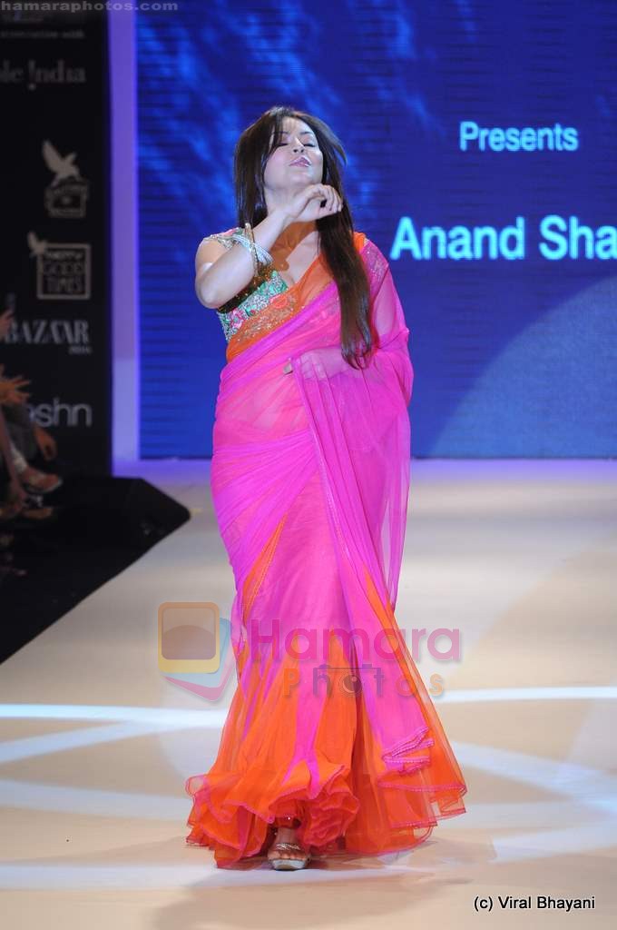 Mahima Chaudhary walks the ramp for Adorn show at IIJW 2011 Day 4 in Grand Hyatt on 3rd Aug 2011