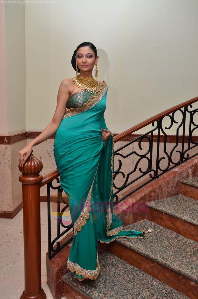 Model walks the ramp for Saree designer Shruti Sancheti showcase at 7TH Retail Jeweller Awards in Lalit Hotel on 6th Aug 2011