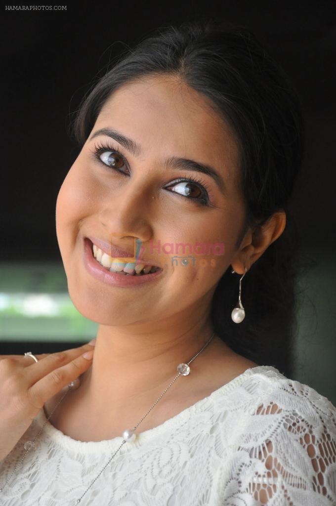 Panchi Bora attends Aakasame Haddu Movie Success Meet on 11th September 2011