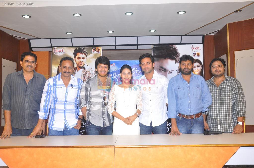 Rajeev Saluri, Panchi Bora, Navdeep, Team attends Aakasame Haddu Movie Success Meet on 11th September 2011