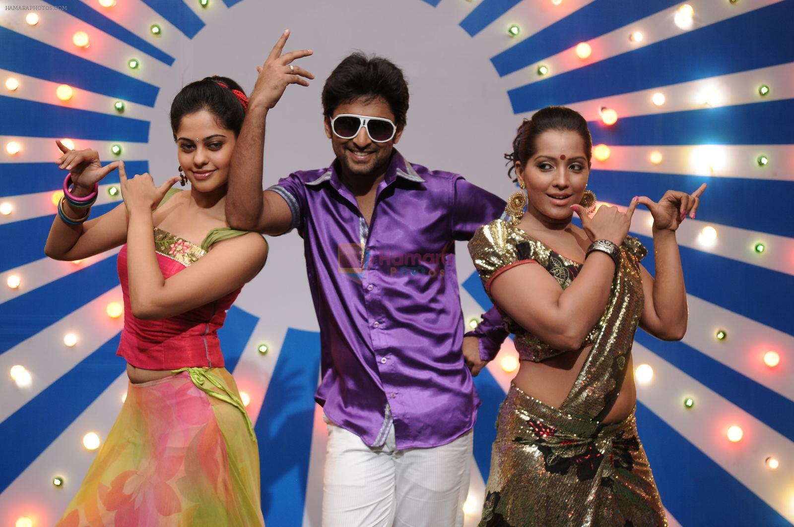 Bindu Madhavi, Haripriya, Nani in Pilla Zamindar Movie Stills