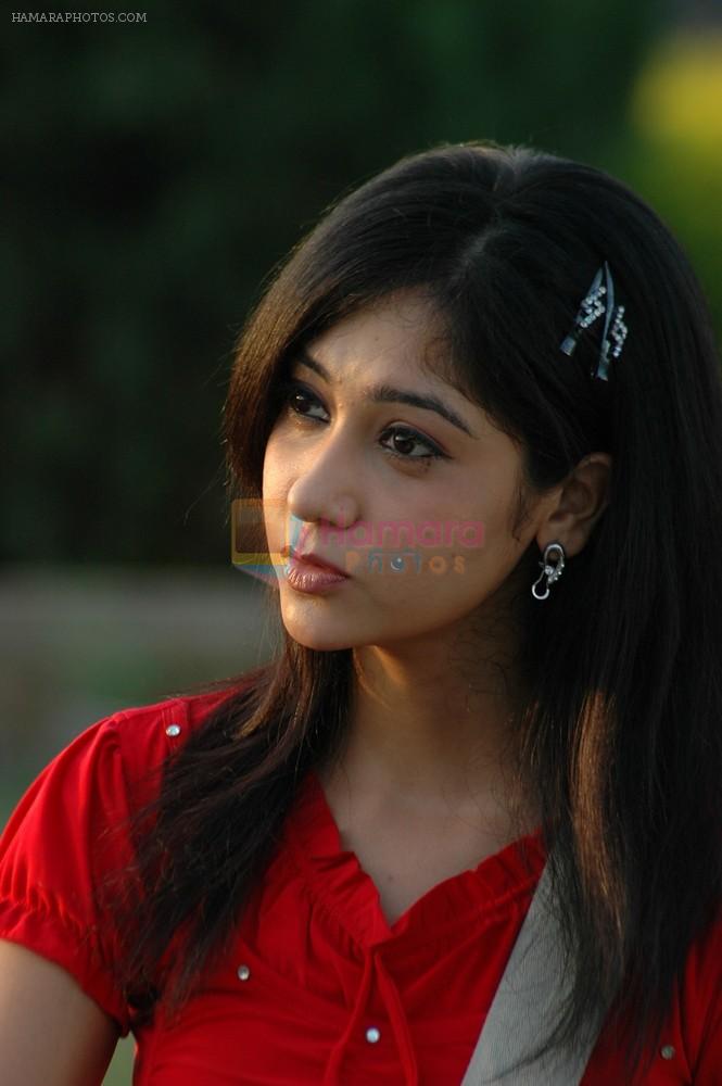 Sarika Affan in Cricket Girls and Beer Movie Stills